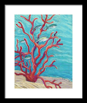 "Coral Assets" - Framed Print