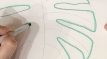 How to Draw a Monstera Leaf with Patti Bruce
