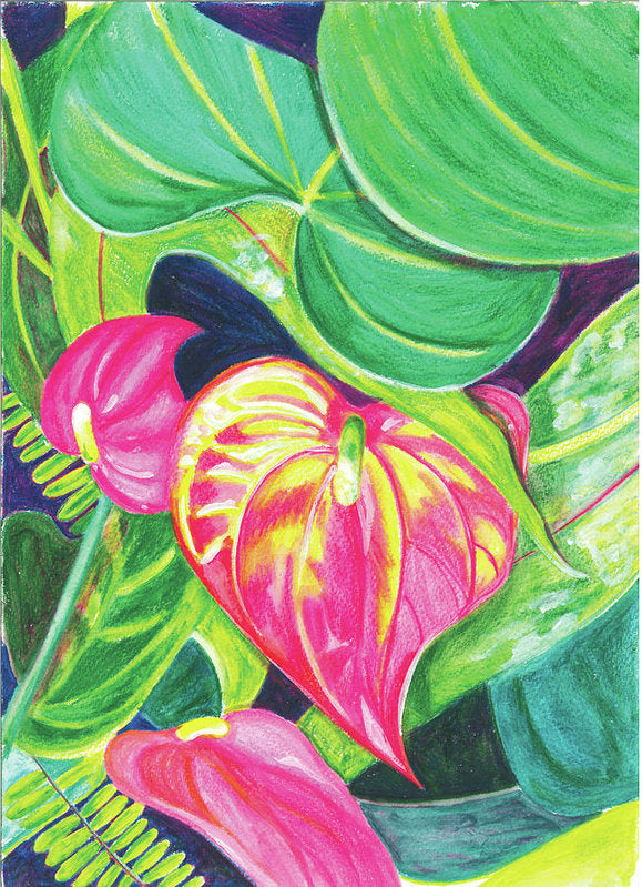 "Pink Anthurium" Popular Tropical Flower in Hawaii - Archival Print