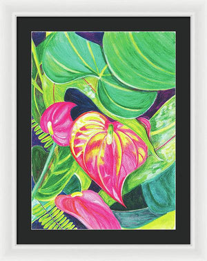 "Pink Anthurium" Popular Tropical Flower in Hawaii - Framed Print
