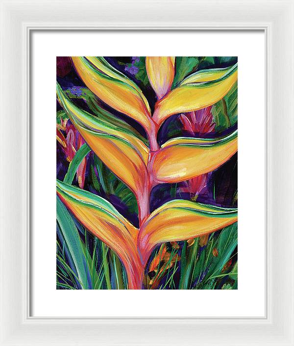 "Heliconia"  Tropical Flower - Framed Print